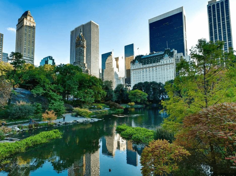 GreenPulse sustainability initiative