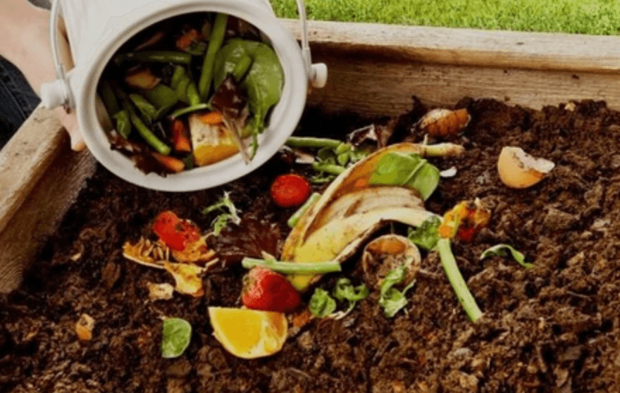 Step-by-Step Composting Guide