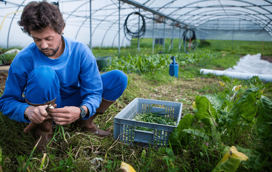 Sustainable Farming Techniques