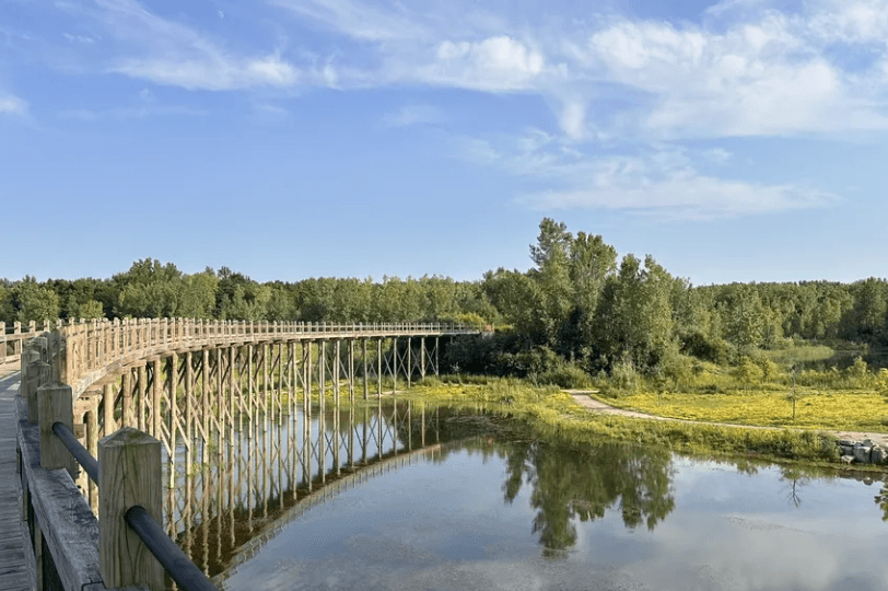 The Impact of Plastic Waste on Oceans